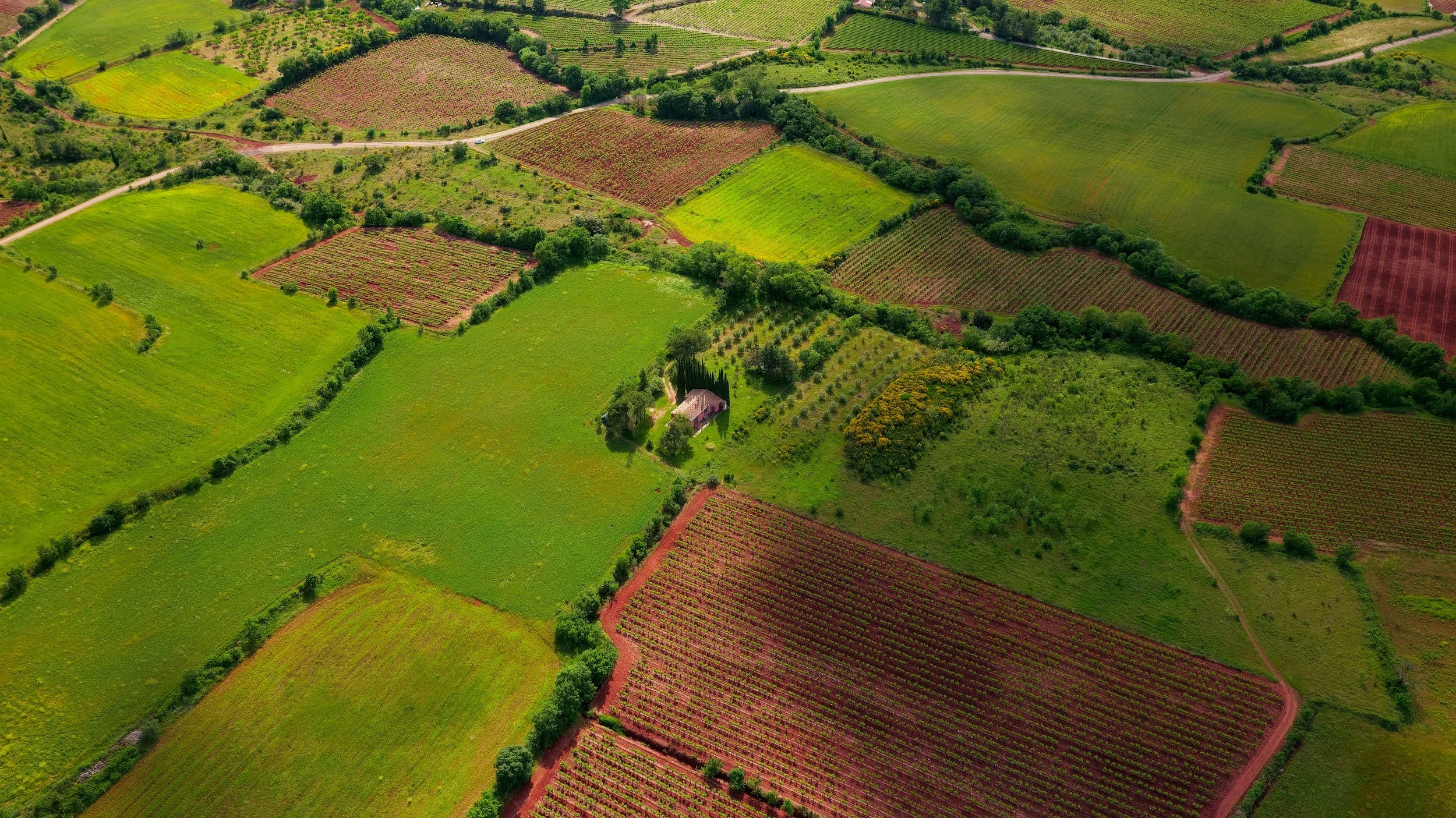 What to Do After Buying Land in Arizona