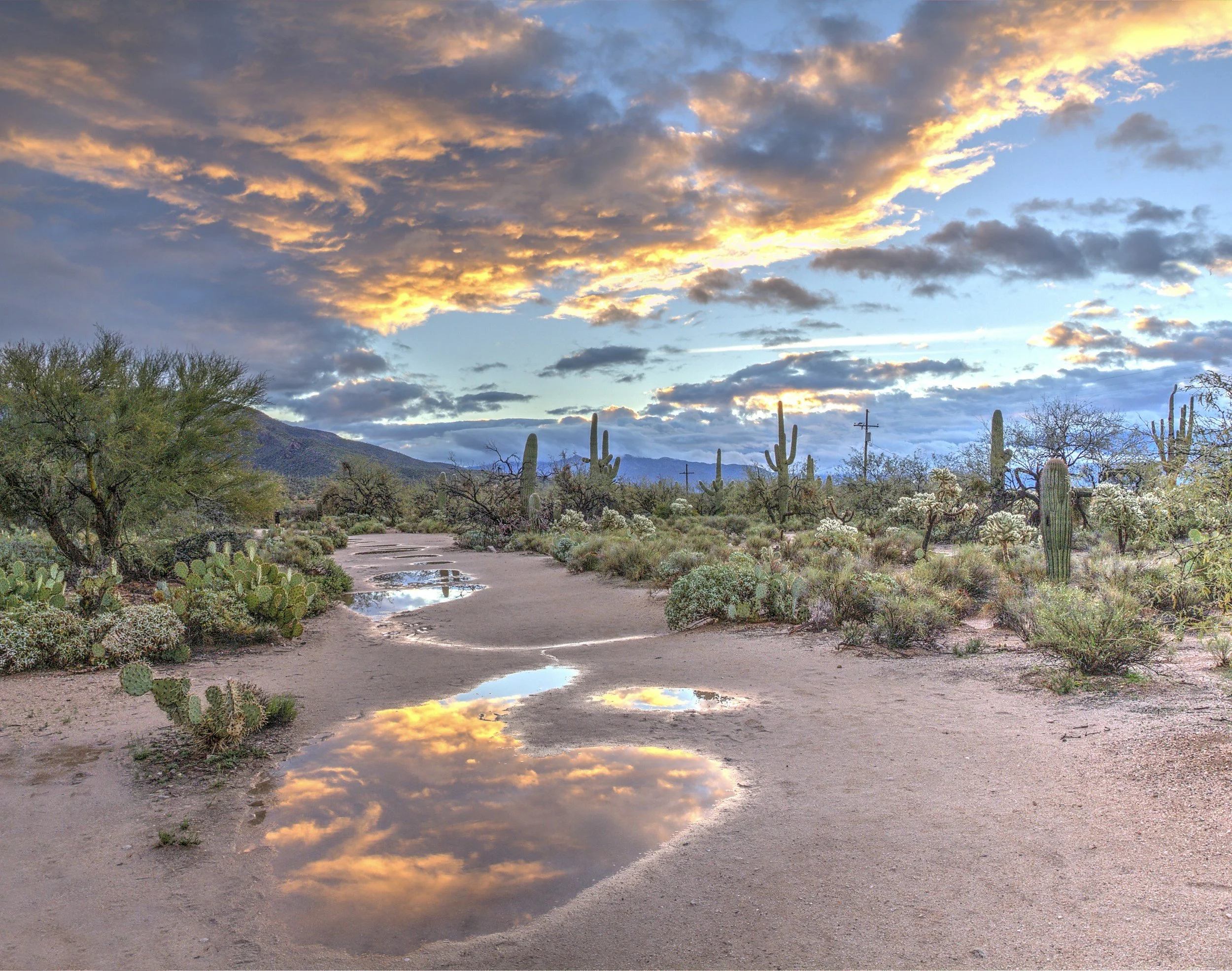 Rio Verde AZ Utilities & Water: What Buyers Must Know